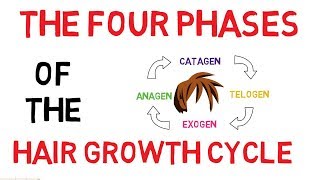 Understanding The Hair Growth Cycle  Adam Explains [upl. by Grete76]