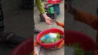 OMG  CUTIS go to market to buy vegetablescutis monkey shortvideo [upl. by Kozloski12]