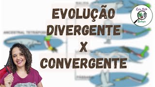 Evolução Divergente e Convergente [upl. by Phipps982]