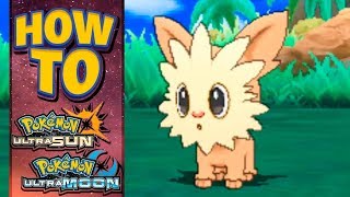 HOW TO GET Lillipup in Pokemon Ultra Sun and Moon [upl. by Ely996]