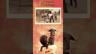 Pariyans life Pariyerum Perumal  Tamil Movie  Kathir  Anandhi trending mariselvaraj shorts [upl. by Frymire]