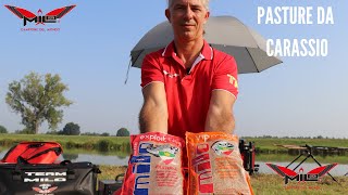 MILO TV  Come Bagnare la Pastura da Carassi [upl. by Goat]