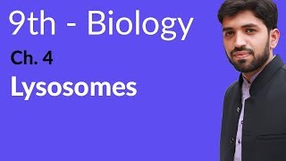 9th Class Biology  Chapter 4  Lysosomes [upl. by Melody]