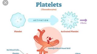 Platelets Properties and Functions Thrombocytopenia amp Thrombocytosis [upl. by Blynn]