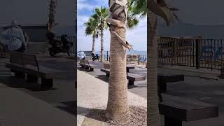 Konyaalti beach Antalya shorts viralvideo trending tourism food konyaaltı HUPintu155 [upl. by Annairt]