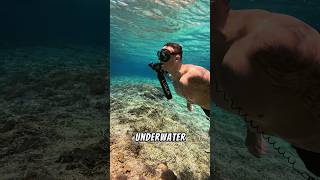 Refill anywhere for free 🤿 fyp underwater snorkeling diving beach ocean watersports [upl. by Aggappera]