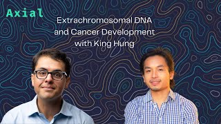 Extrachromosomal DNA and Cancer Development with King Hung [upl. by Eigna]