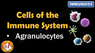 Cells of the Immune System PART II  AGRANULOCYTES FLImmuno03 [upl. by Ayifas]