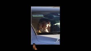 Zendaya amp Tom Holland caught KISSING  Full Live footage  pictures [upl. by Haerle]