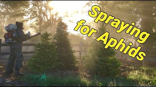 Christmas tree farming How to spray for AphidsMites using Ultor and Stihl backpack blower [upl. by Ahon]