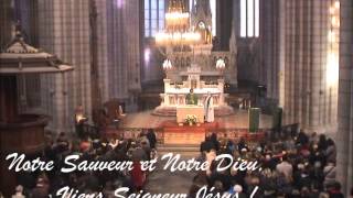 Anamnese Messe du Peuple de Dieu  Tenor [upl. by Omrellug]