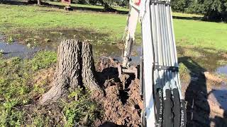 Stump Removal With Ripper [upl. by Ecirum]