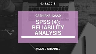 SPSS 4 Reliability Analysis [upl. by Ardnasal]