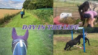 DAY IN THE LIFE of an equestrian SUMMER [upl. by Eisen]