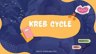 KREB CYCLE  CITRIC ACID CYCLE  TCA CYCLE  Respiration in Plants neet2025 neet neetbiology [upl. by Nikola]