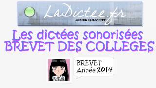 Dictée de brevet des collèges 2014  dictée annales diplôme national brevet DNB [upl. by Mckenna291]