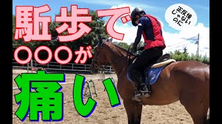 【乗馬初心者】初めての随伴練習！駈歩17回！今日はメッチャ続いた！股関節が固いよ～ [upl. by Adnuhs]