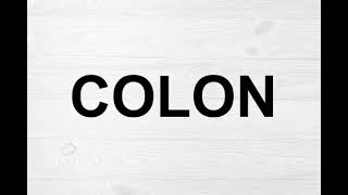 How To Pronounce Colon [upl. by Adekan]