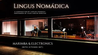 Lingus Nomádica for marimba amp electronics Juan Carlos Bonifaz amp Carlos Passeggi [upl. by Terti]