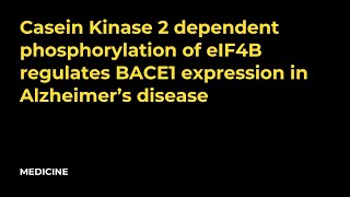 Casein Kinase 2 dependent phosphorylation of eIF4B regulates BACE1 expression in Alzheimer’s disease [upl. by Limaj713]