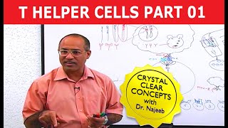 T Helper Cells  Immunology  Part 110 [upl. by Schott]