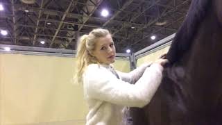 Concours au salon du cheval de paris 😍 [upl. by Amyas]