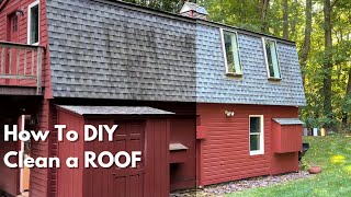 How to DIY Clean a Roof [upl. by Argyle]