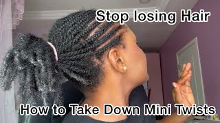 How to Take Down Mini Twist WO Losing Hair [upl. by Indnahc]