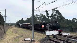 Steam Locomotives 3265 and 3526 passing Macarthur Railway Station  Thirlmere to Sydney Transfer Run [upl. by Miharbi]