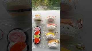 Wow Demure sushi puppy taba squishy 🍣🫣squishys diycrafts kawaiihaul cutecore cute slime [upl. by Winshell]