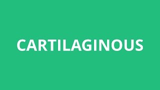 How To Pronounce Cartilaginous  Pronunciation Academy [upl. by Bobina]