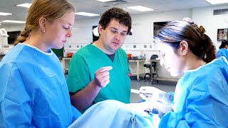 Learning Opportunities in Small Animal Surgery at CornellVet [upl. by Akimat813]