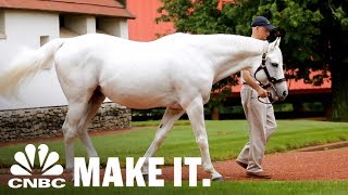 Americas Most Valuable Stallion Making Over 35 Million In Retirement  CNBC Make It [upl. by Gage]