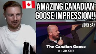 Reaction To American Eagle vs Canadian Goose Pete Zedlacher [upl. by Eecats534]