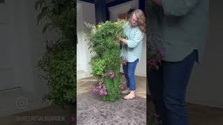 Plant in 30 seconds greenstalkgarden garden quickgarden growyourownfood [upl. by Anitselec]