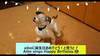 aiboに誕生日おめでとう！と言うと？  Aibo sings Happy Birthday🎂 【アイボ】 [upl. by Casady]