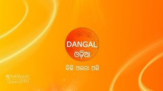 Dangal Odia  New Odia Entertainment Channel  Test Transmission Live [upl. by Catlee149]