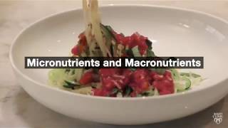 Mayo Clinic Minute The difference between micronutrients and macronutrients [upl. by Pasia754]