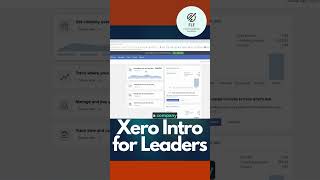 Xero software introduction for Finance leaders within a startup or scaleup xero accountingtools [upl. by Richmound]