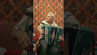 гармонист класно играет дед сырдарья гармонь играйсам гармонь accordion  sanfona [upl. by Yenwat]