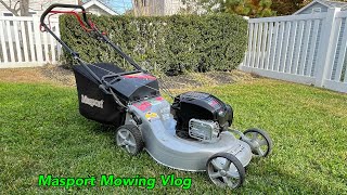 Masport 800 Commercial Push Mower  Mowing  Leaf Bagging  Updated Review [upl. by Neimad867]