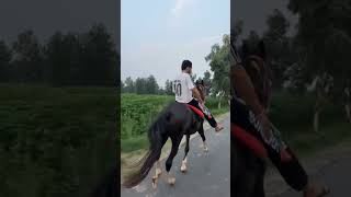 Short punjabisong  chall tandhra sakib malik [upl. by Draper]