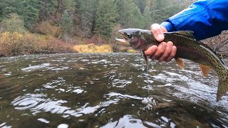 Hooked on Steelhead A Fly Fishing Journal  Episode 2 [upl. by Igiul]