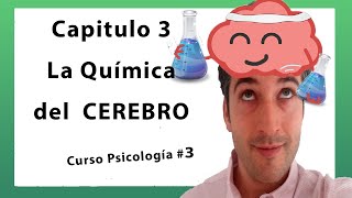 🧠 Capitulo 3 El CEREBRO La Neurona y la QuÍmica del cerebro Neurotransmisores y hormonas [upl. by Aivalf]