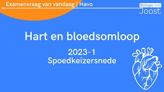 14 Examenvraag van vandaag  Havo  20231 Spoedkeizersnede [upl. by Belcher]