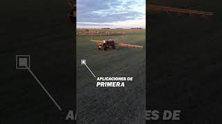 Aplicaciones DE PRIMERA ¡Dosis variable en trigo [upl. by Jermain]