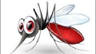 കൊതുകിനെ കൊല്ലണ്ട രീതി mosquito how to kill mosquito [upl. by Weintrob]