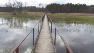 Pėsčiųjų tiltas per Žeimeną Švenčionėliuose  Very Long Cute Bridge [upl. by Ahsirtap]