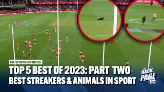 Top 5 Best of 2023 Part 2 Elite streakers amp animals in sport  The Back Page  Fox Sports Australia [upl. by Fonz]