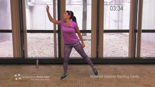 ModerateIntensity Standing Cardio Work Out  The Great Slim Down [upl. by Dustin]